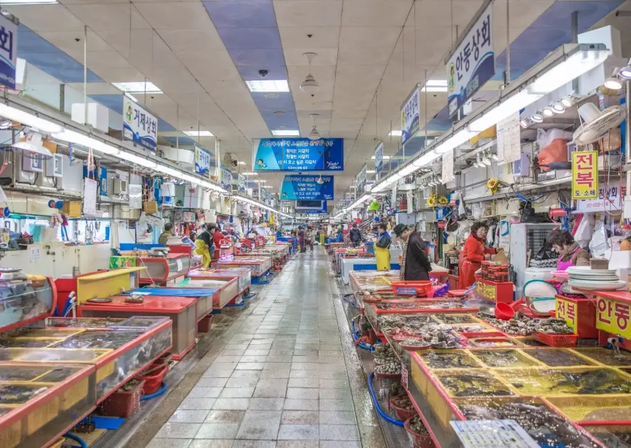 釜山自由行行程