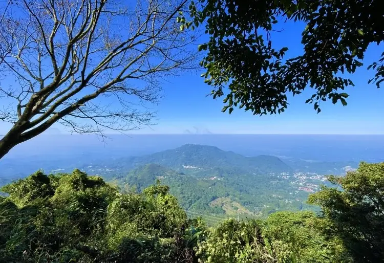 雞籠山 登山步道