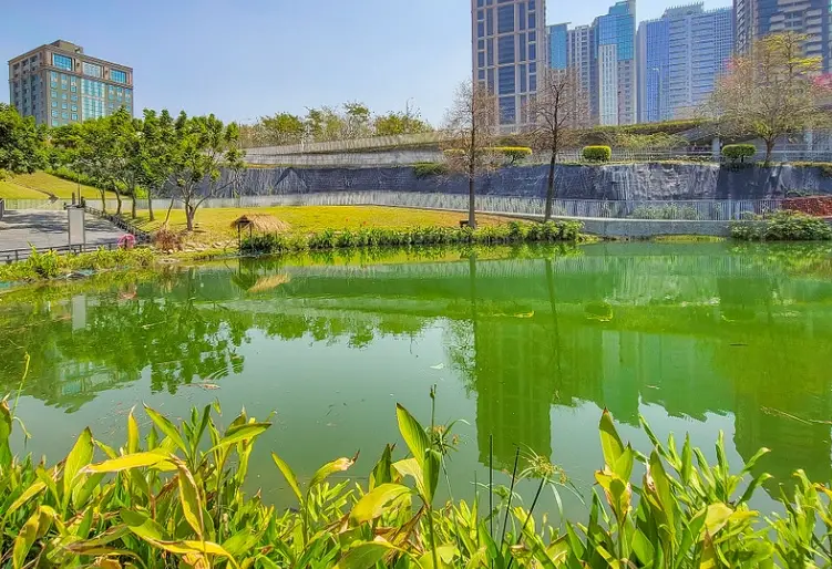 情人節餐廳 台中