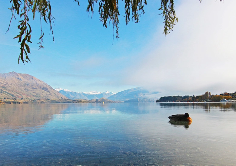 紐西蘭行程規劃