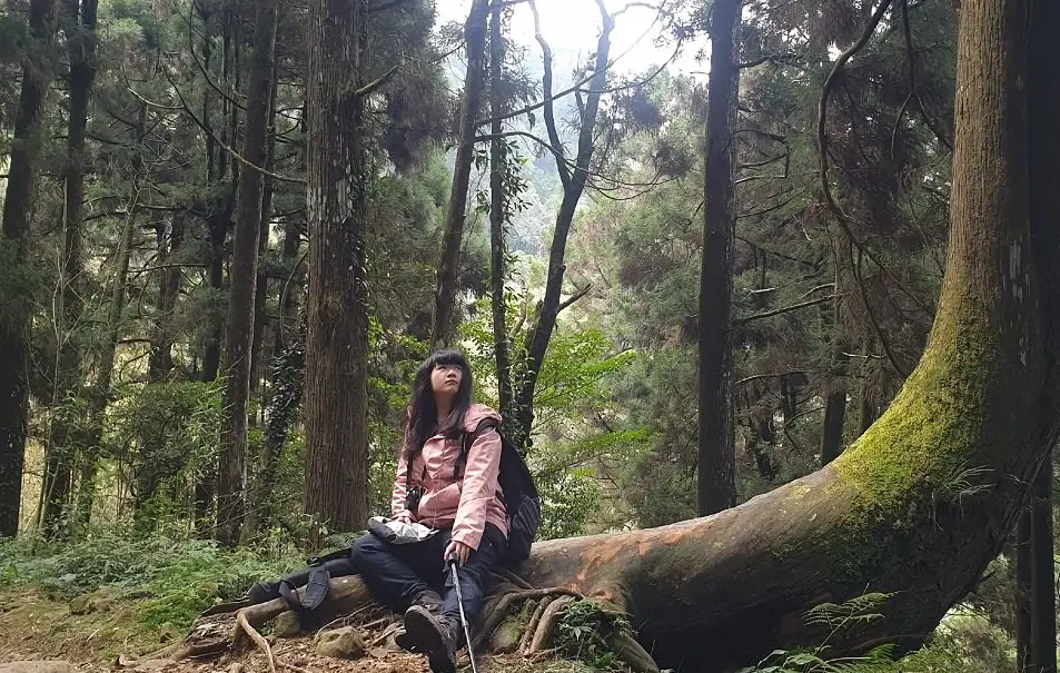 小百岳登山攻略