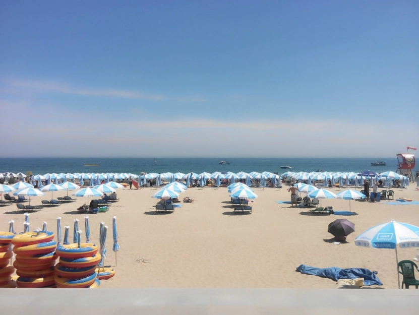 釜山五天四夜自由行攻略：行程規劃、美食景點、住宿交通一次搞定