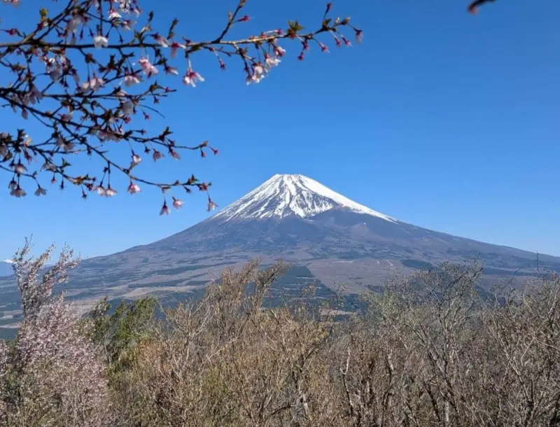 富士山 台灣 觀景點