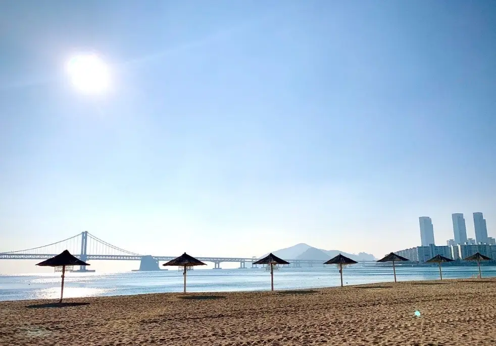 廣安里大橋夜景