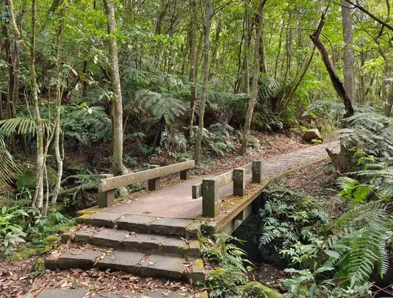 大崙頭尾山親山步道