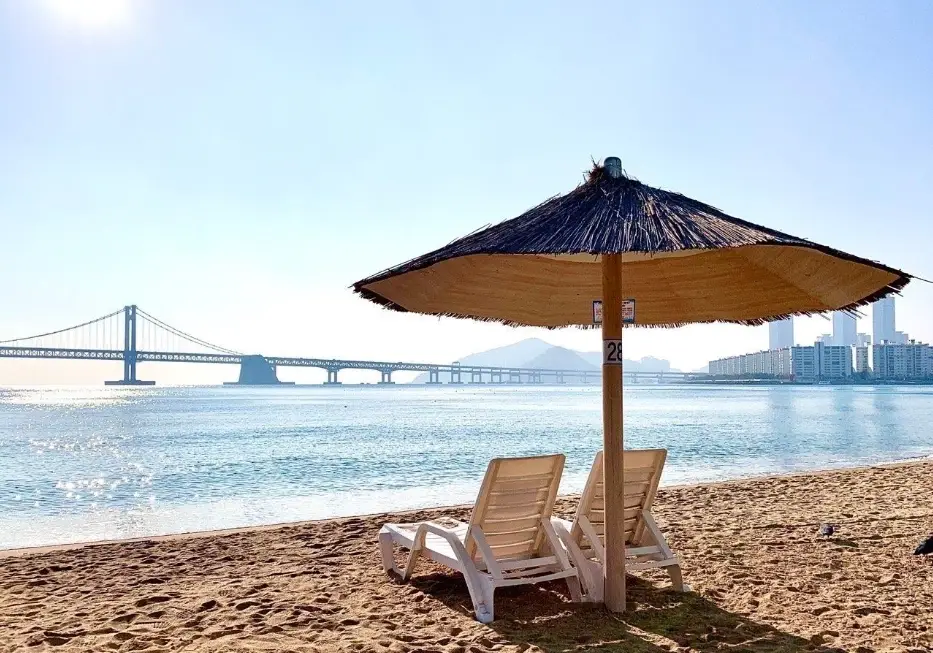 廣安里大橋夜景