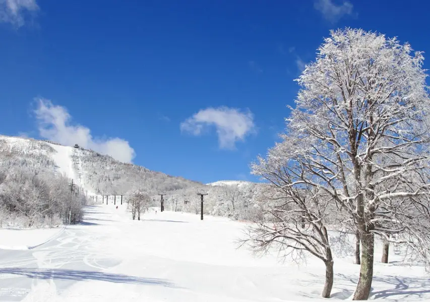 長野三月春雪全攻略：雪猴、滑雪與古城的最後雪景