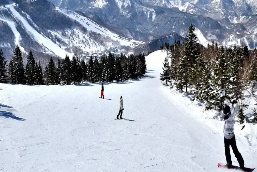 長野滑雪交通全攻略：台灣出發到雪場接駁完整解析