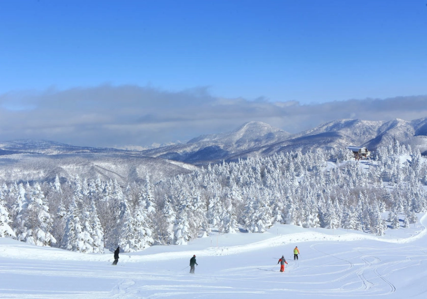 長野 三月 自由行