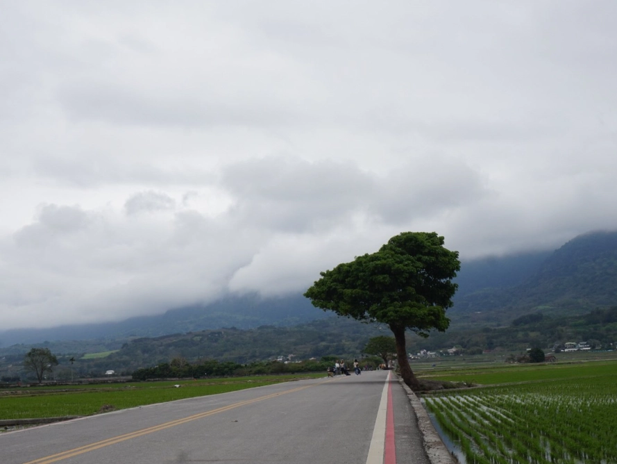 台東大眾運輸旅遊