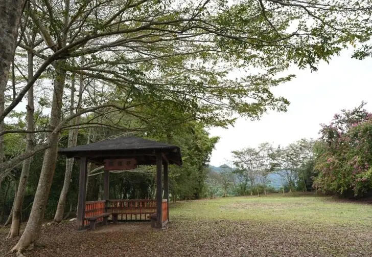 甲仙秘境全攻略：高雄隱世景點、交通與美食深度探索