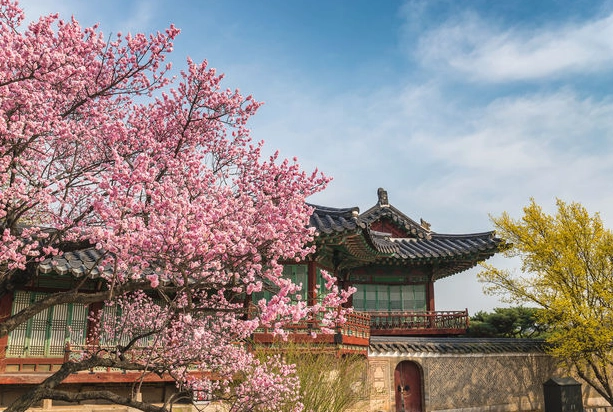 首爾自由行5天4夜完整攻略：行程規劃、美食景點深度解析