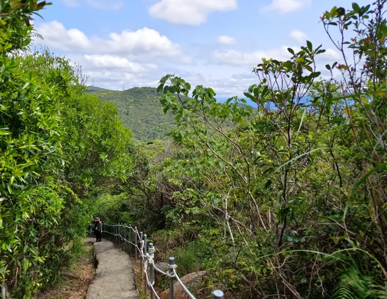 大崙頭尾山步道整修
