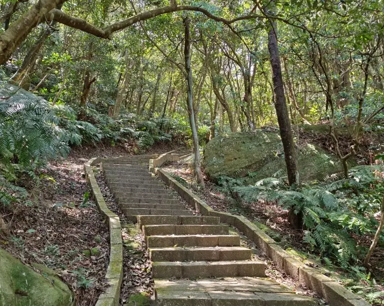 大崙頭尾山親山步道交通