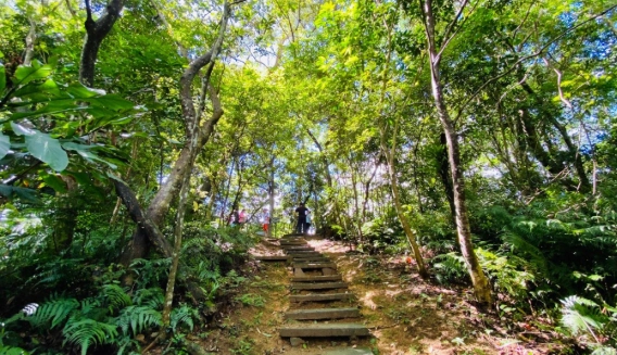 溪頭兩天一夜行程怎麼排？內行人的私房路線、住宿美食全攻略
