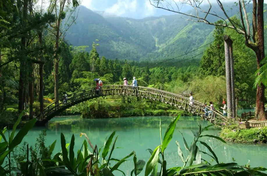 溪頭森林遊樂區行程