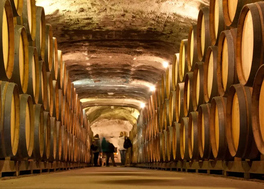 台灣葡萄酒莊體驗