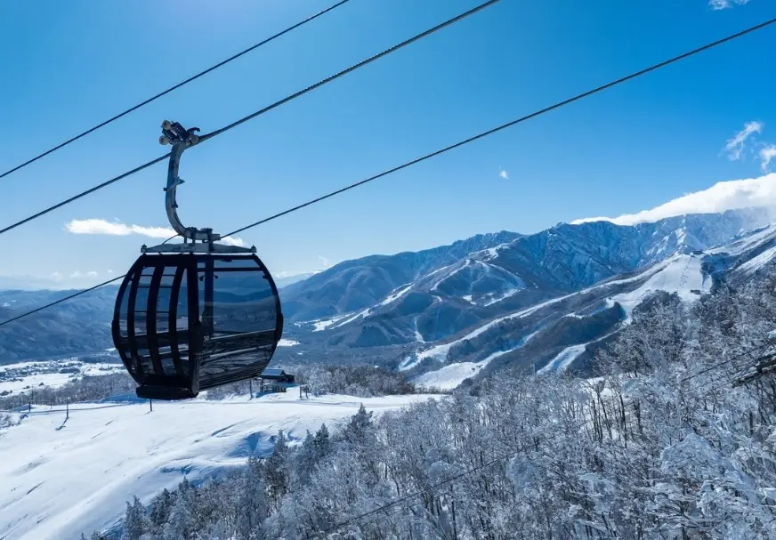岩岳滑雪場 新手