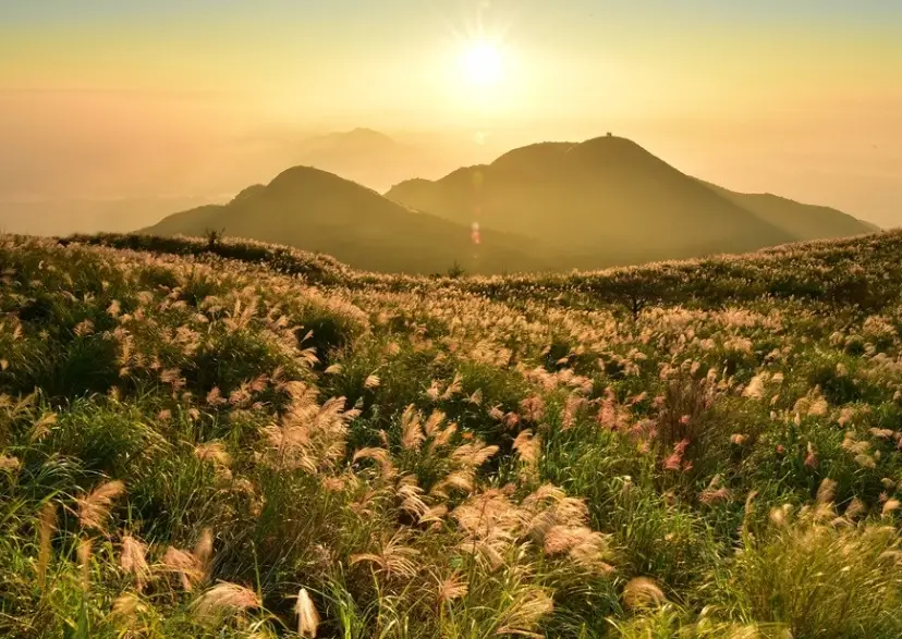 陽明山開車旅遊