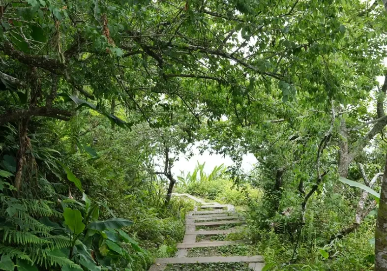 關子嶺雞籠山步道