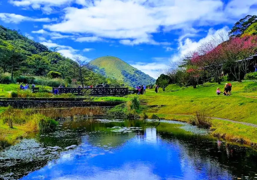 陽明山一日遊開車攻略：自駕路線、景點美食與避坑指南