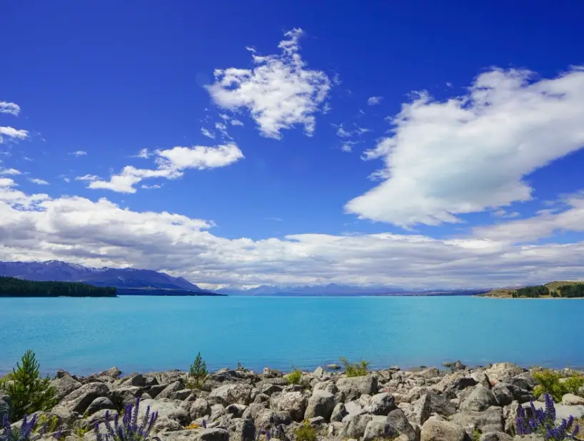 紐西蘭南北島自駕