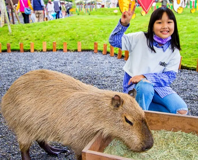 探索宜蘭最新景點：親子樂園與自然秘境全攻略