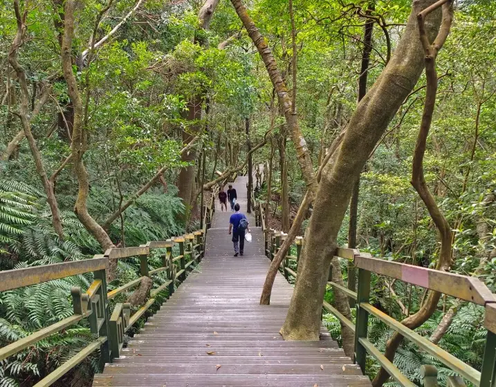 大崙頭尾山 交通