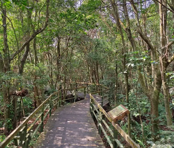 大崙頭尾山親山步道 停車場