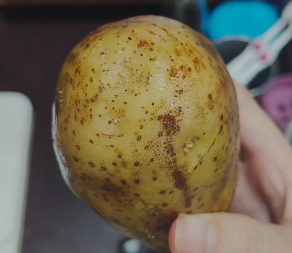 龍葵鹼中毒症狀