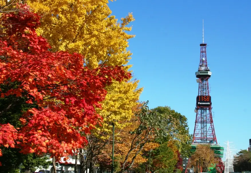 札幌賞楓地點全攻略：五大紅葉名所與私用資訊