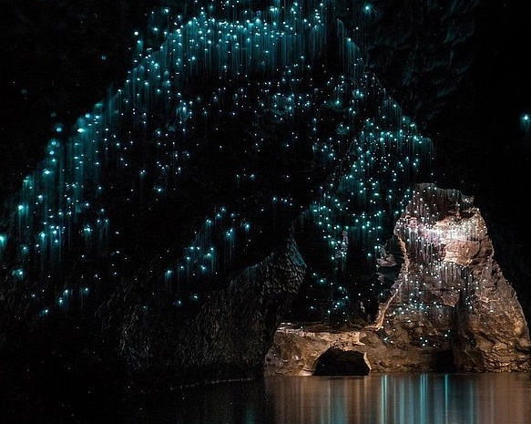 紐西蘭自由行攻略