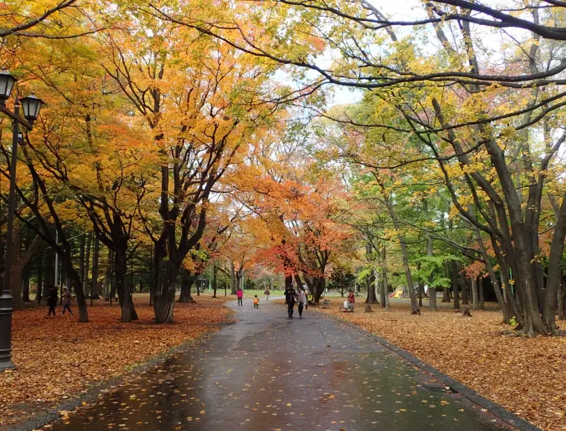 北海道紅葉景點