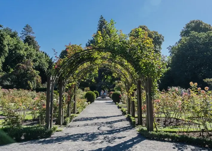 新西兰南岛旅游