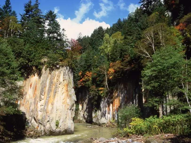 北海道賞楓全攻略：最佳時間預測、必去景點與行程規劃