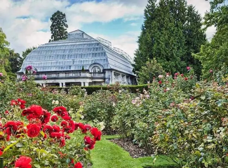 新西兰南岛行程