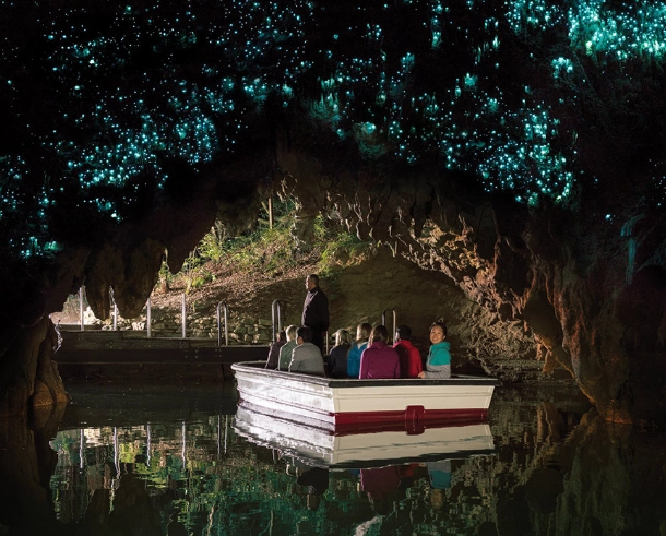 紐西蘭北島旅遊