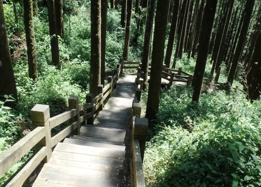 大凍山 登山步道