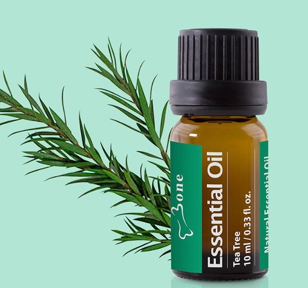 茶樹精油怎麼用