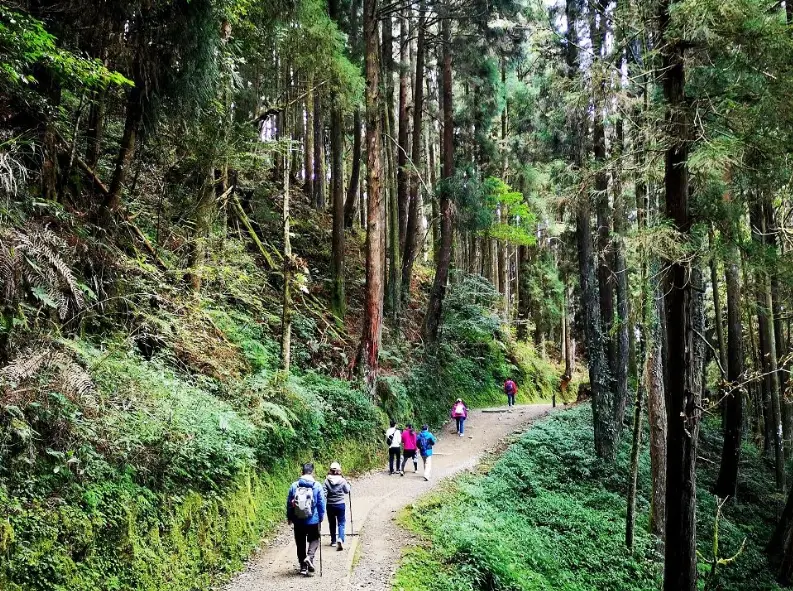 台灣森林步道