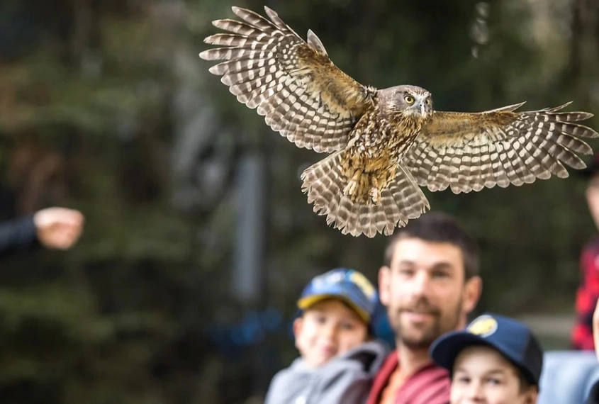 皇后鎮親子景點