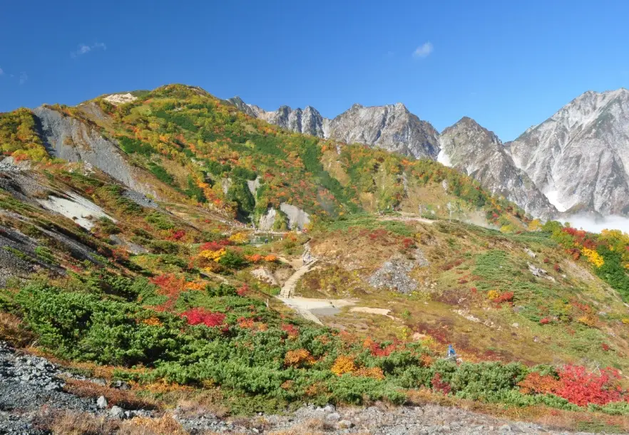 白馬村紅葉 交通