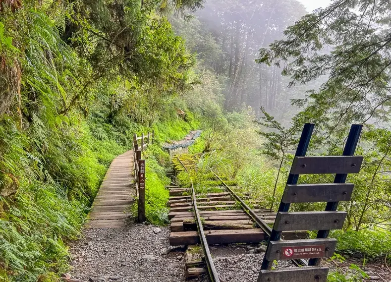 台灣森林步道