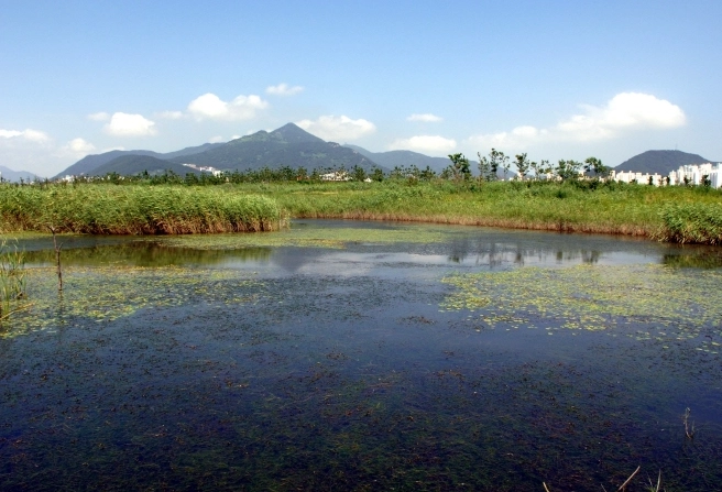 五六島天空步道