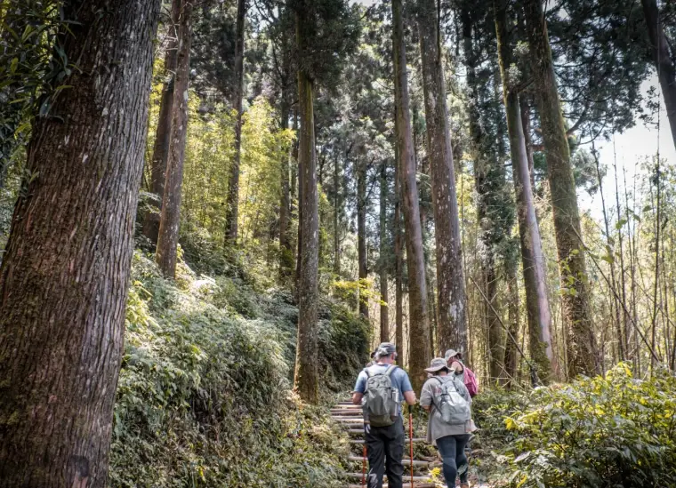 多林車站 交通方式