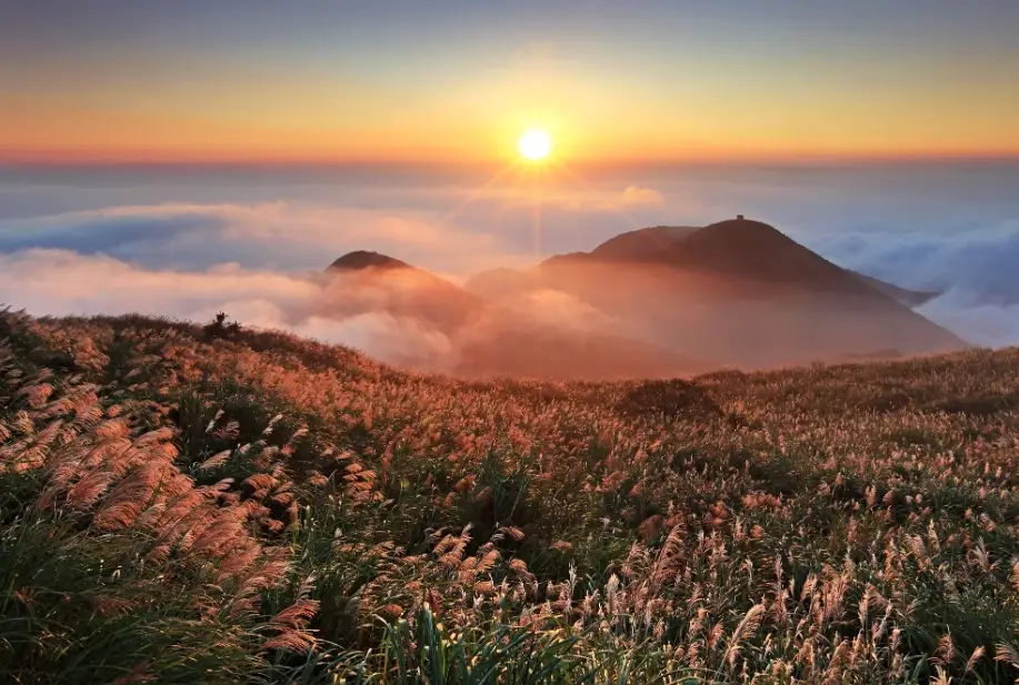 情人節台北約會