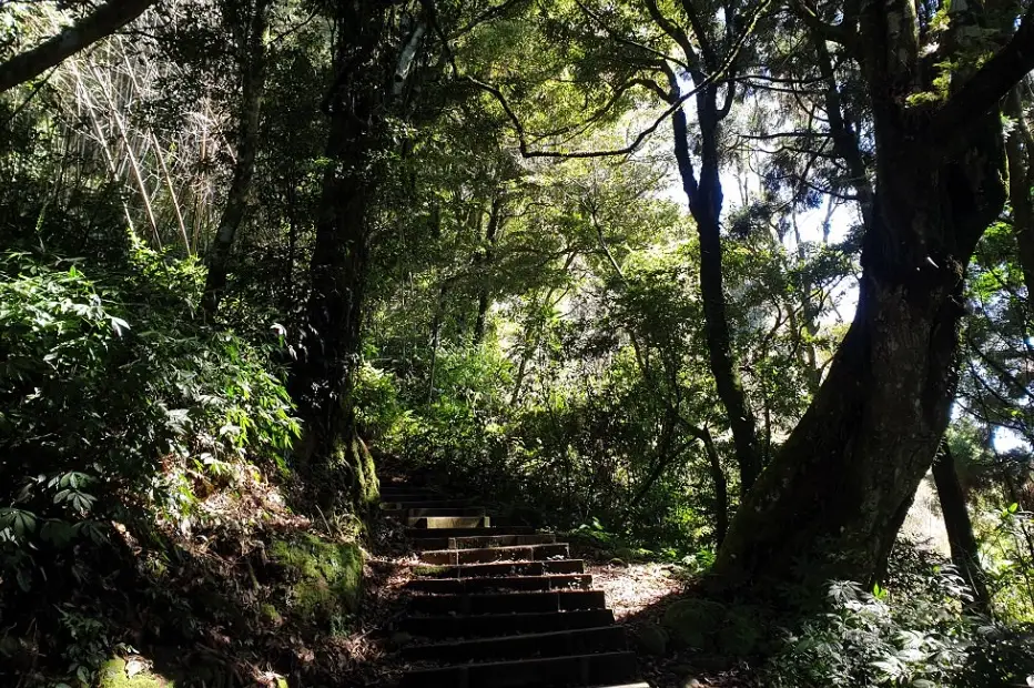 多林車站 大凍山