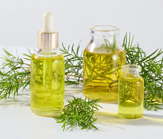 茶樹精油怎麼用