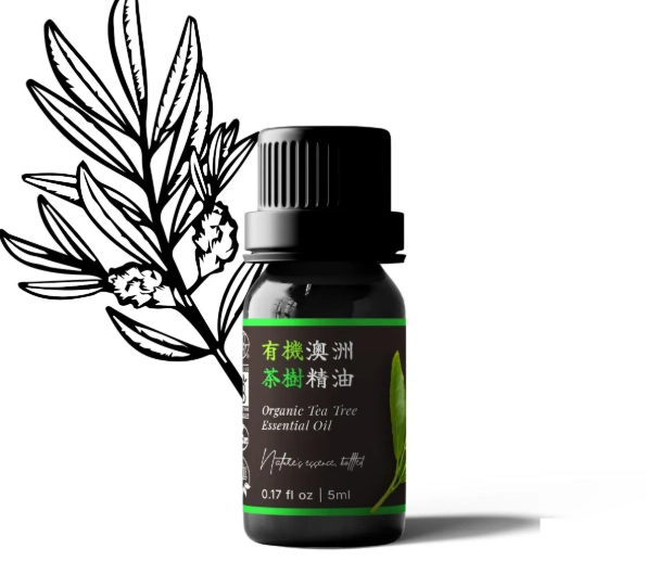 茶樹精油功效全解析：從抗痘到淨化空氣的10種實用方法