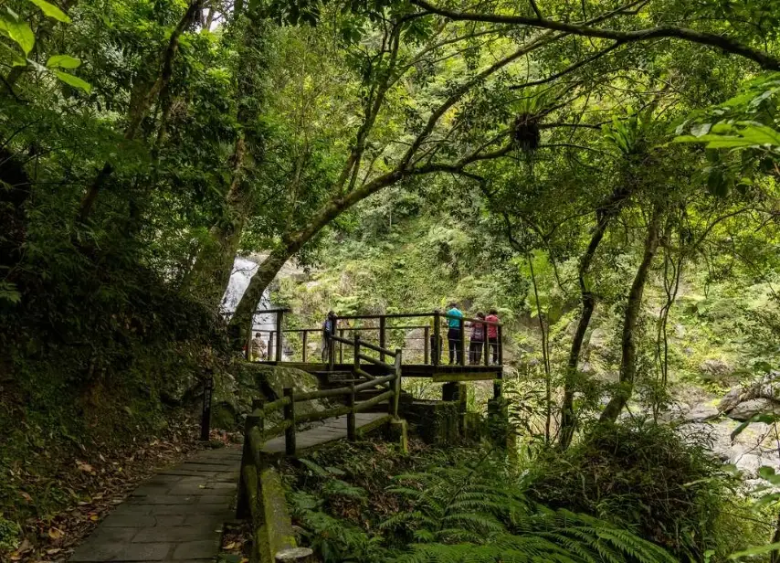 台灣森林步道